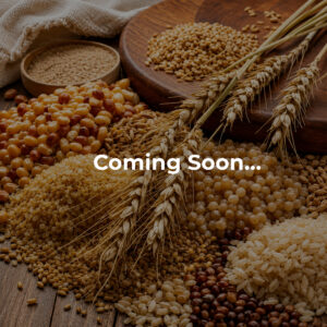 Pulses