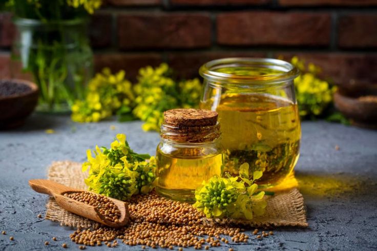 benefits of cold-pressed mustard oil for daily cooking