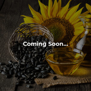 Sunflower Oil