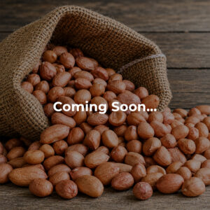 Groundnut Oil